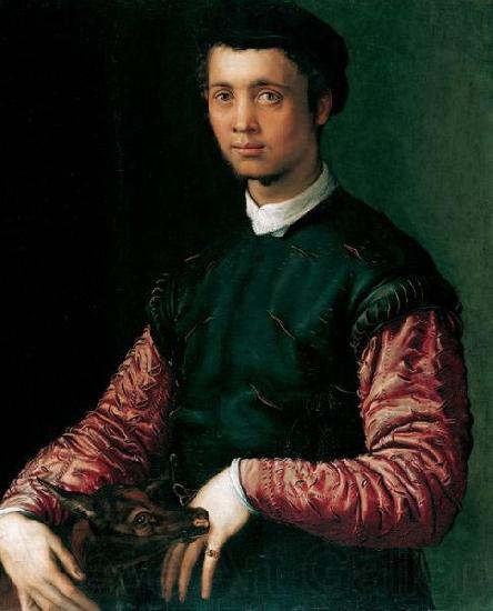 Francesco Salviati Bildnis eines jungen Mannes Norge oil painting art
